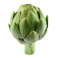 Artichoke PNG