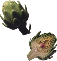 Artichoke PNG