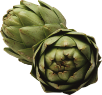 Artichoke PNG
