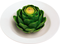 Artichoke PNG