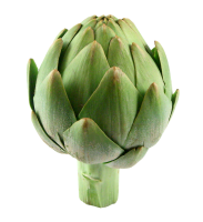 Artichoke PNG
