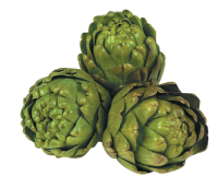 Artichoke PNG