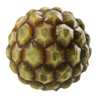 Artichoke PNG