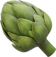 Artichoke PNG