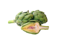 Artichoke PNG