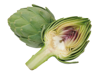 Artichoke PNG