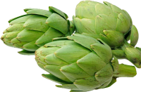 Artichoke PNG