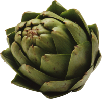 Artichoke PNG