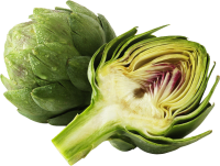 Artichoke PNG