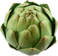 Artichoke PNG