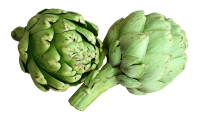 Artichoke PNG