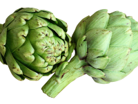 Artichoke PNG
