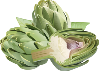 Artichoke PNG