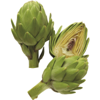 Artichoke PNG