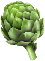 Artichoke PNG