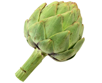 Artichoke PNG