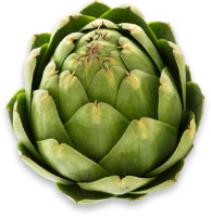 Artichoke PNG