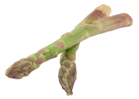 Asparagus PNG