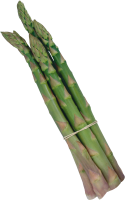 Asparagus PNG