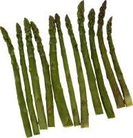 Asparagus PNG