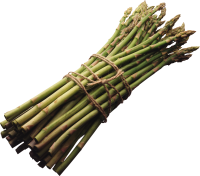 Asparagus PNG