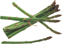 Asparagus PNG