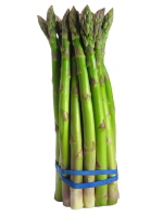 Asparagus PNG