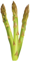 Asparagus PNG