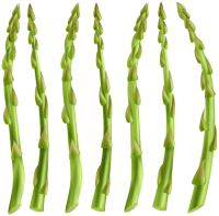 Asparagus PNG