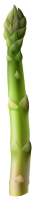 Asparagus PNG