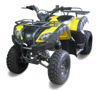ATV, quad bike PNG