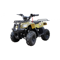 ATV, quad bike PNG