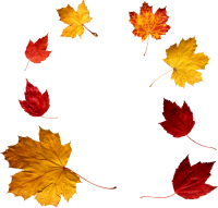 autumn PNG leaf