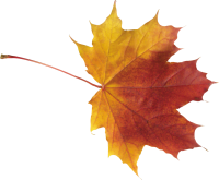 autumn PNG leaf