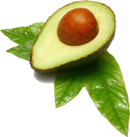 Avocado PNG