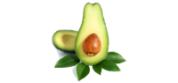 Avocado PNG