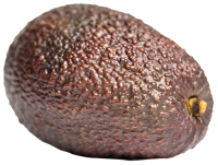 Avocado PNG