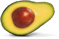 Avocado PNG