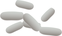 Bacteria PNG