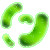 Bacteria PNG