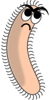 Bacteria PNG