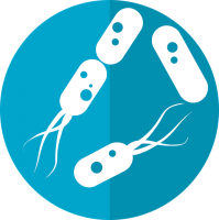 Bacteria PNG