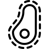 Bacteria PNG