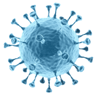Bacteria PNG