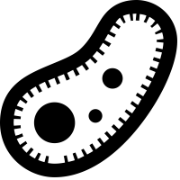 Bacteria PNG
