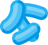Bacteria PNG