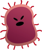 Bacteria PNG
