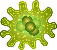 Bacteria PNG