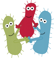 Bacteria PNG