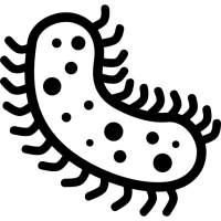 Bacteria PNG